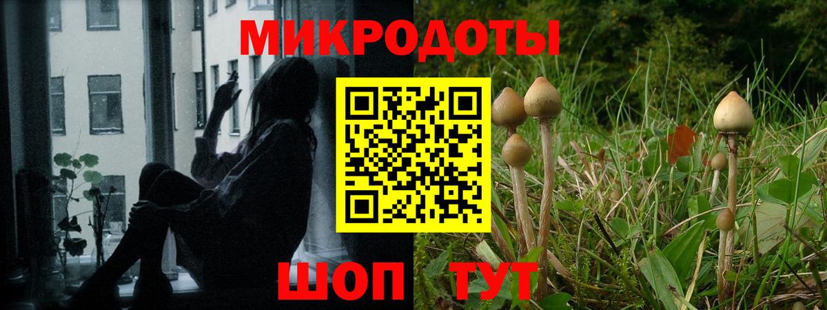 Псилоцибиновые грибы ЛСД Каменск-Уральский